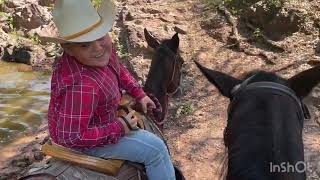 Una mini cabalgata de Piaxtla a coyotes [upl. by Ordnassela]