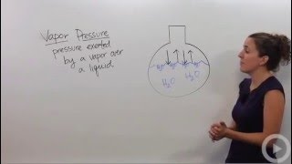 Vapor Pressure [upl. by Kohcztiy]