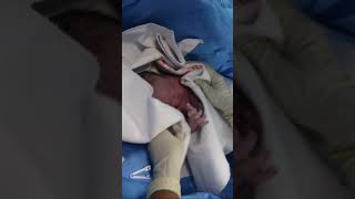 Cleaning lovely newborn immediately after birth 😍  Newborn care cutebabyboy newbornbaby [upl. by Ydissahc]