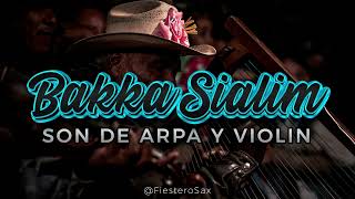 SON DE ARPA Y VIOLIN  BAKKA SIALIM [upl. by Quita]