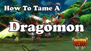 How To Tame A Dragomon [upl. by Morell]