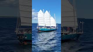 Sailboats of Door County WI sailboats sailing doorcounty wisconsin [upl. by Yenahpets533]