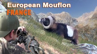 European Mouflon hunting in France  Chasse au Mouflon en France  2022 [upl. by Yeltrab]