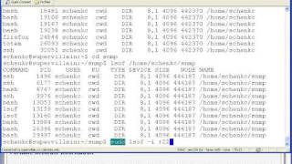 Linux command line  lsof [upl. by Dotti]
