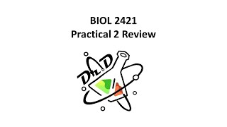 BIOL2421 Practical II Review Microbiology for Science Majors [upl. by Ariec]