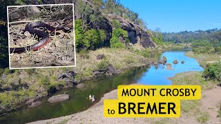 Mount Crosby to Bremer Junction [upl. by Aliac349]