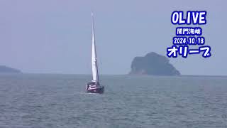 Sailing Vessel in the Kanmon Straits 20241018 [upl. by Giffy]