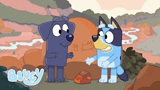 Working Together ⛺️  Camping  Bluey [upl. by Irwin]