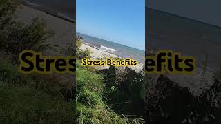 The Benefits Of Stress amp Hormesis [upl. by Hailahk]