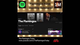 FLAMINGOS 1M ON SPOTIFY [upl. by Tilagram]