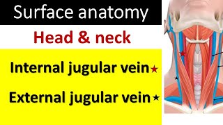 Surface marking of internal and external jugular vein [upl. by Chobot]