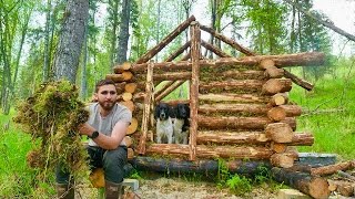 Building a Log Cabin Chinking and roof joists [upl. by Ayahsal]