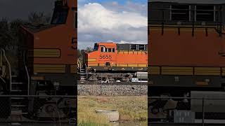 BNSF 6022 25th Anniversary GEVO Running Light in Belen NM [upl. by Alma]