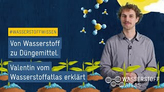 Von Wasserstoff zu Düngemittel – Valentin vom Wasserstoffatlas erklärt  Wasserstoffwissen [upl. by Dianuj]