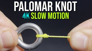 How to Tie a PALOMAR KNOT  quotKnot Easyquot Series  Fishing Knot Tutorial [upl. by Bobbi6]