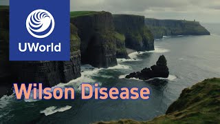 Wilson Disease vs Hemochromatosis vs Porphyria UWorld Notes USMLE USMLE Step 1 [upl. by Georgy]