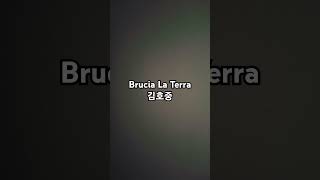 임현준의쇼츠  Brucia La Tarra 김호중 [upl. by Born]