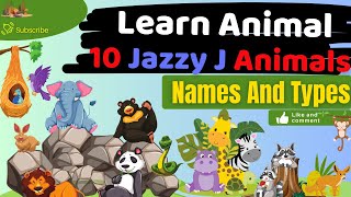 J is for Joyful Jumpers 10 Jazzy J Animals You’ll Love [upl. by Tremayne]