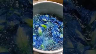 💥🤔Butterfly pea flower tea or blue tea cooking treanding benfits youtubeshorts [upl. by Rosen]