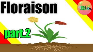 Floraison part2  Croissance et développement des plantes fr [upl. by Serles]