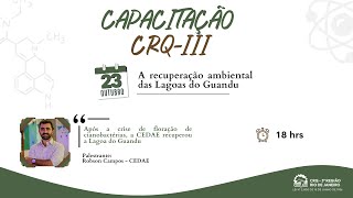 A recuperação ambiental das Lagoas do Guandu  2310 [upl. by Esetal]