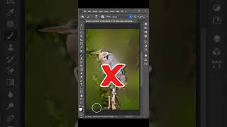 1How to Create DSLR Blur Background Easily Using Photoshop CC [upl. by Yran]