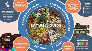 Eatwell Guide [upl. by Refotsirhc574]