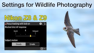 How I set up the Nikon Z8 and Z9 for Bird and Wildlife Photography  Important Settings [upl. by Hoyt]