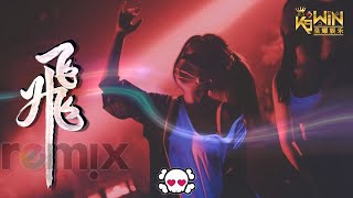 大神慧🌸  飞 【DJ REMIX 舞曲】Ft K9win [upl. by Nivrac144]