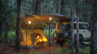 Coziest RAIN CAMPING in a Pine Forest  SOLO Relaxing in a Tent and Tarp shelter ASMR [upl. by Socem]