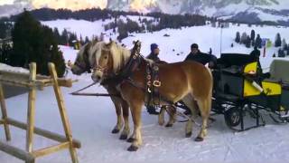 In slitta verso Ortisei Bz trainati dai cavalli [upl. by Leiso673]