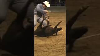 JERRAD HOFSTETTER at Marana Calf Roping 2008 The top 50 calf ropers in the world pull their trailer [upl. by Lien]