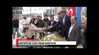 KARTEPEDE 2300 FİDAN DAĞITILDI [upl. by Ahsatin]