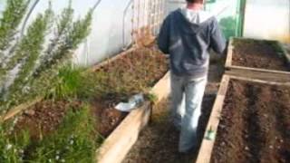 Polytunnel walk [upl. by Ramona]