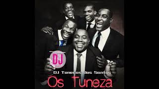 INTRO TUNEZA Dj Tonecas dos Santos [upl. by Eiresed]