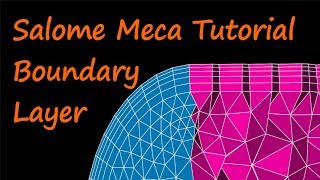 Salome Meca Tutorial  Boundary Layer und lokale Netzverfeinerung Salome Meca for Windows [upl. by Htiduj]