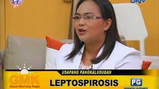 What is Leptospirosis [upl. by Aihsenak]