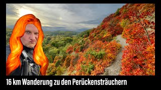 16 km Wanderung zu den Perückensträuchern in Jena [upl. by Anivahs794]