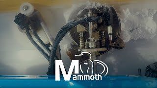 Ice resurfacer WM Mammoth Edger amp brush [upl. by Cranston]