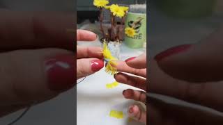 Матьимачеха видеоурок  Coltsfoot tutorial [upl. by Elmer482]