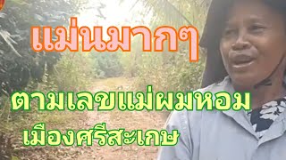 แม่นมากๆ แม่ผมหอมหมายเลข ตามต่องวด 1 เมษายน 67 [upl. by Riker]