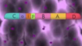 The Arabinose Operon [upl. by Knepper]