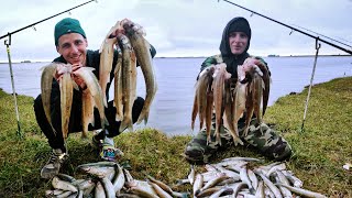 PESCA DE PEJERREY DE COSTA  PEJERREYES GRANDES DE FONDO EN LAGUNA BLANCA CHICA  TAMAÑO MADARIAGA [upl. by Nylyaj]