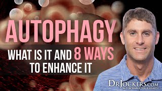 Autophagy What is it and 8 Ways to Enhance It [upl. by Nocaed745]