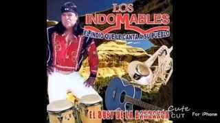 Los Indomables El Buey de La Barranca [upl. by Bagger]