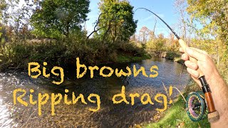 Fishing for Great Lakes migratory brown trout [upl. by Esli68]