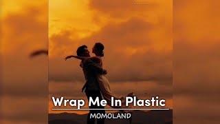 Wrap Me In Plastic  MOMOLAND  Lyrics [upl. by Mitchiner]