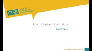 Electroforesis de proteínas Leishmania CIAB wwwciabes [upl. by Lamond646]