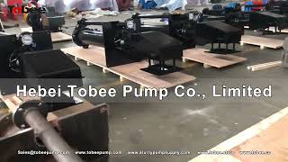 Tobee® TP65QV Metal Vertical Pumps with 1500mm and 1800mm Submerged Length [upl. by Asenad]