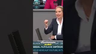 Alice Weidel AfD  Deutschland in der Krise Lösungen zur Bekämpfung der Massenmigration 🚨 [upl. by Dennard]